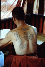 tatoomonkback