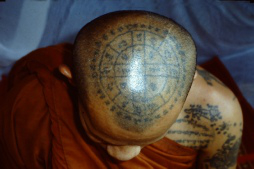 tatoomonkhead