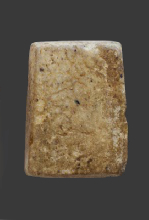 tayan19